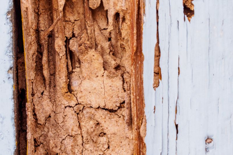 Wood Rot And Moisture Damage In Outdoor Structures